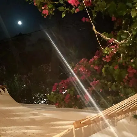 The Summer Pink House * Lakhania