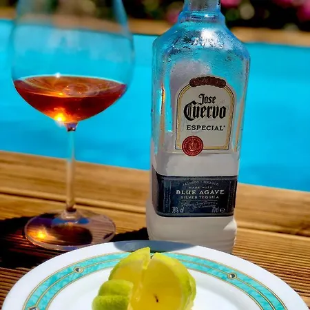 The Summer Pink House *