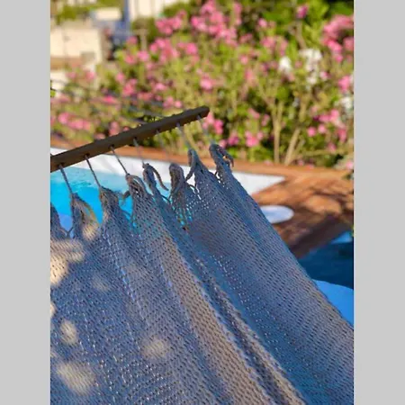 The Summer Pink House