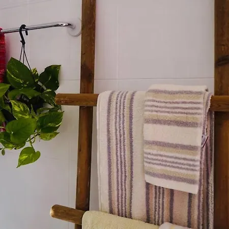 The Summer Pink House * Lakhania