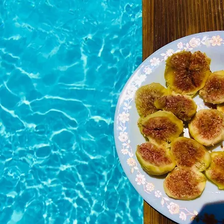 The Summer Pink House Lakhania