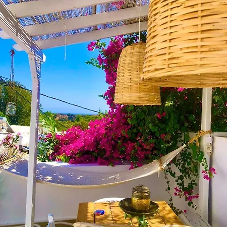 The Summer Pink House