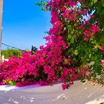 The Summer Pink House Lakhania