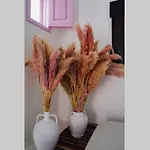 Casa vacanze The Summer Pink House *