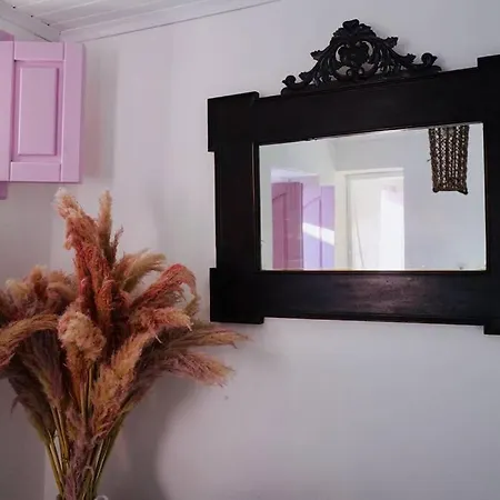 Case de vacanță The Summer Pink House