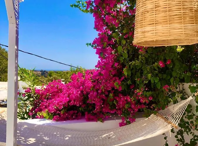 بيت للعطل The Summer Pink House *