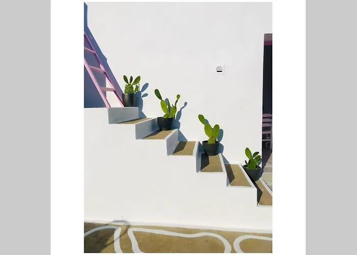 The Summer Pink House *