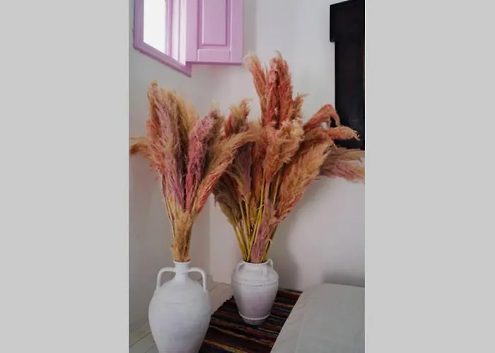 度假居 The Summer Pink House *