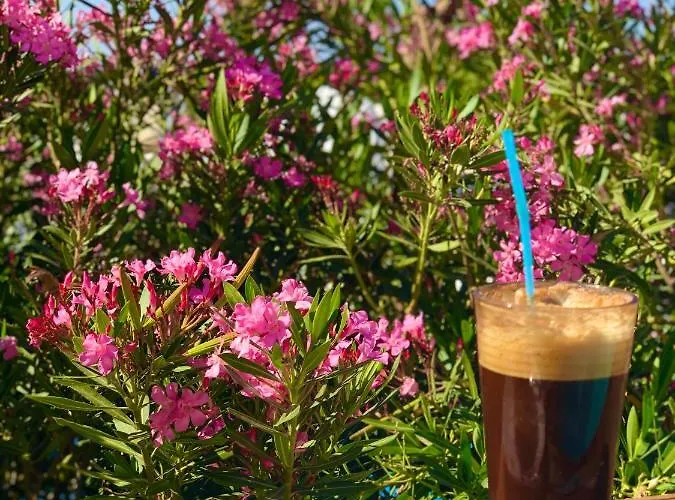 The Summer Pink House 度假居