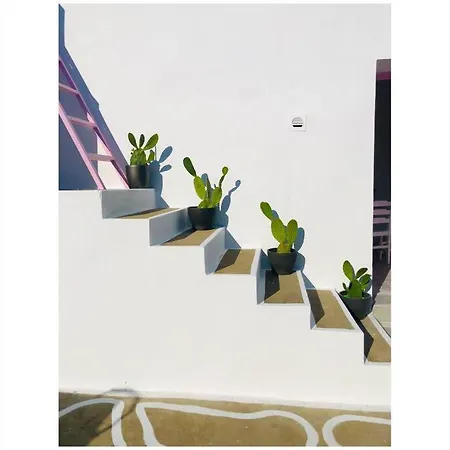 The Summer Pink House *