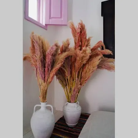 Ferienhaus The Summer Pink House *