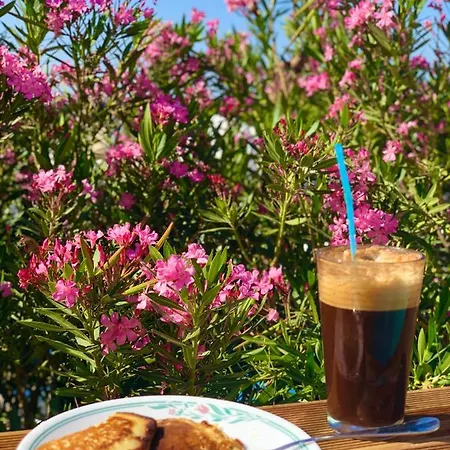 The Summer Pink House Ferienhaus